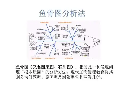 鱼骨图分析法(鱼骨图模板)