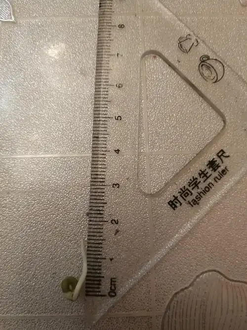 一天后接近两厘米了