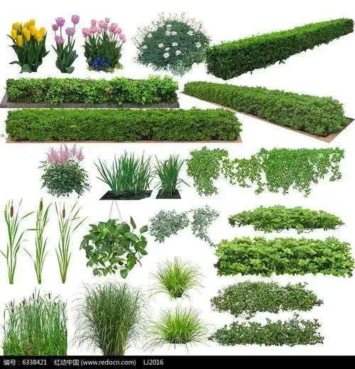 绿篱立面透视效果图素材psd