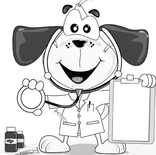 小动物,大医生