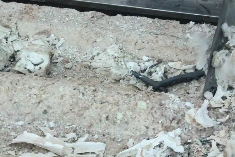 从科学角度来说,骨灰是什么?多年后又会变成什么?