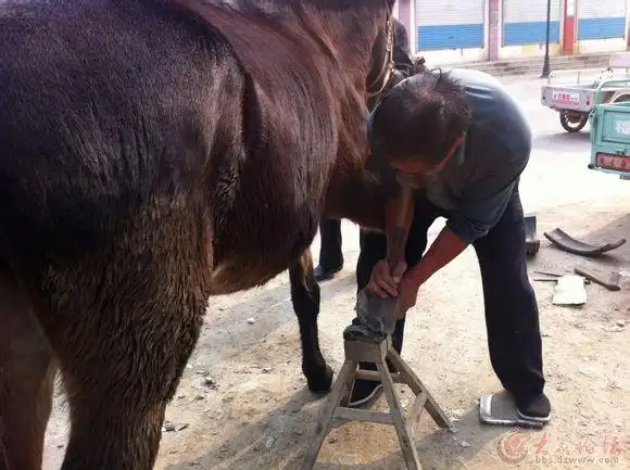 农村马套入山林, 鞭响蹄急起烟尘, 起早贪晚大跃进, 好马也要
