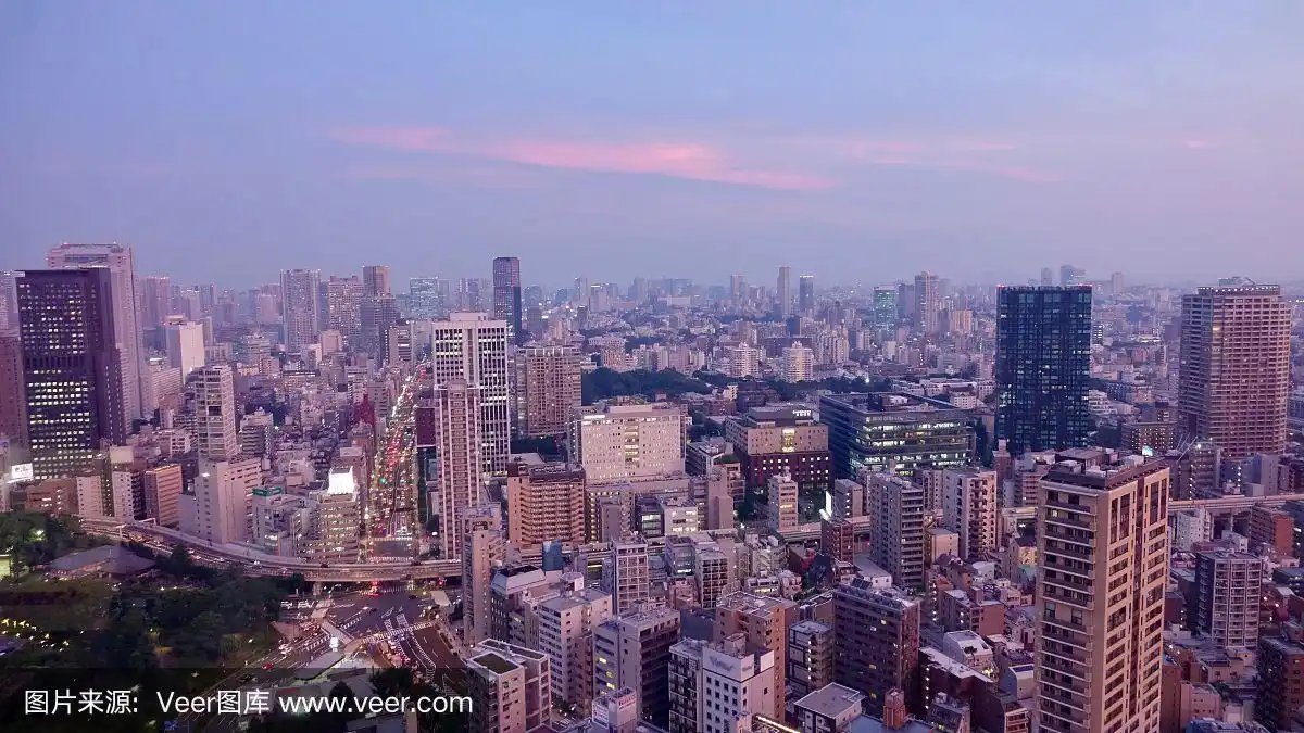 东京大城市的鸟瞰图