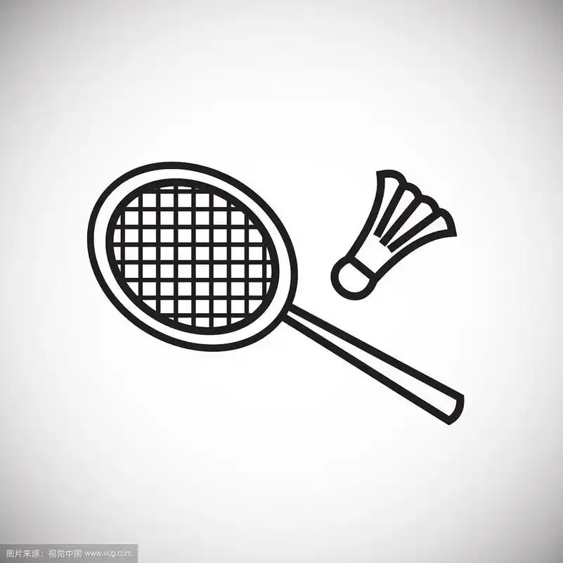 羽毛球细线白底