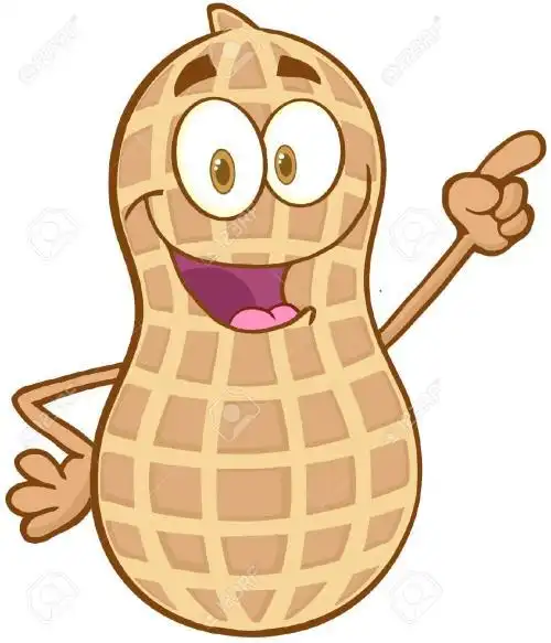 关于落花生的简笔画