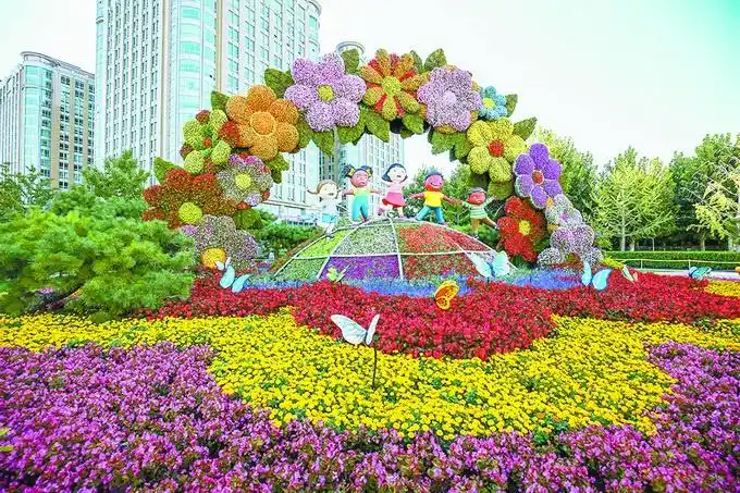 从平面铺陈到立体呈现,天安门广场摆花式样35年历经三次变迁