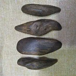 越南水沉香木原木