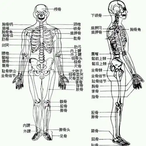 中药接骨散(祖传秘方)-小河淌水- 全民k歌,ktv交友社区