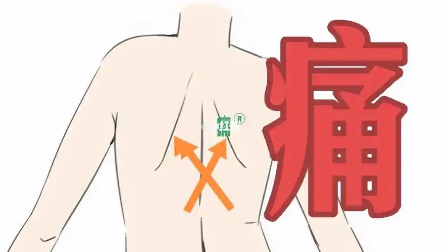有人后背肩胛骨内侧里面酸痛吗?怎么回事?