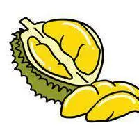 榴莲卡通图片可爱头像_微信头像图片大全