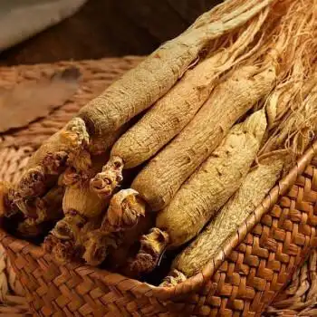 凯史甘斯8年干参6支装干人参吉林长白山人参东北特产新鲜生晒参8年干