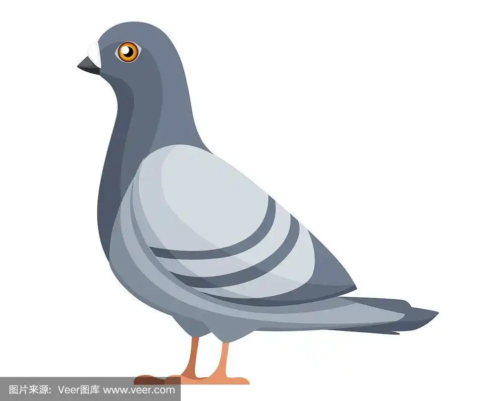 矢量插图孤立在白色背景