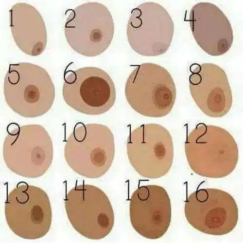 那么乳房周围的底色就有n个"色号",乳晕和乳头又有非常多不一样的颜色
