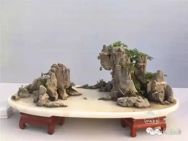 图文并茂的山水盆景智者乐水,仁者乐山山水盆景起源的历史背景据记载