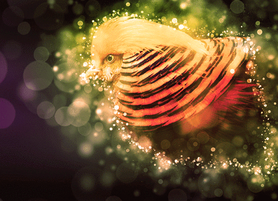 超炫静态照片转换为gif动画ps动作合集