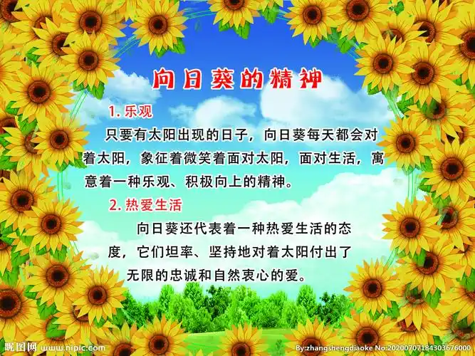 向日葵花语寓意图片