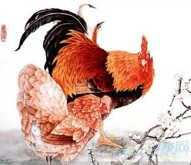 1945年属鸡人的命运_十二生肖运势