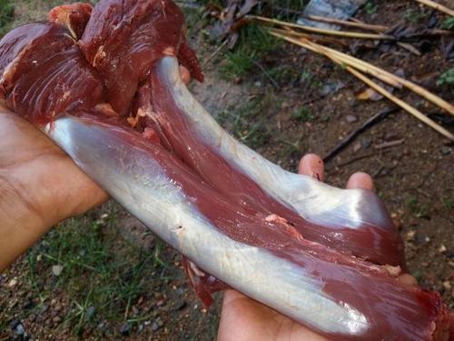 热销嫩牛肉_新鲜 现宰 黄牛肉青草牛 绿色 无公害 牛腰梅肉 里脊肉 嫩