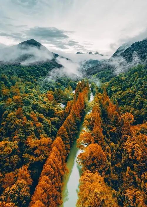 江西大茅山秋色