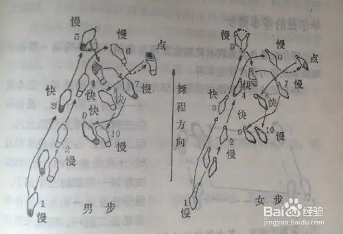 交际舞中探戈的基本舞步有哪些
