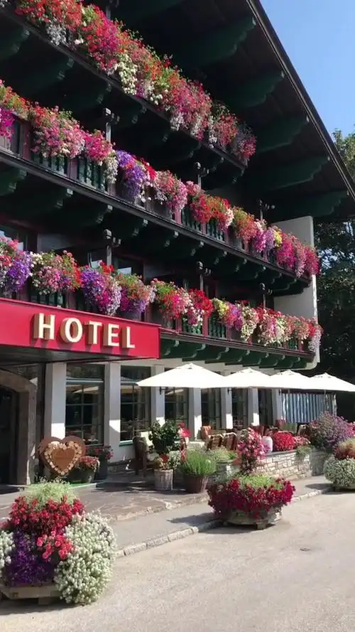奥地利小镇的鲜花酒店,每一季都会有三十万朵鲜花装扮,值得住几晚.