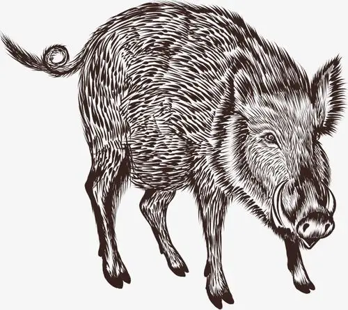 卡通创意民族风动物装饰海报设计猪