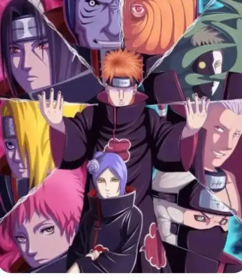 晓组织全部成员图片晓组织的图片