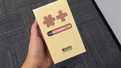 雪加其实在今年 4 月份就曾参加过国内规模最大的 iecie深圳电子烟展