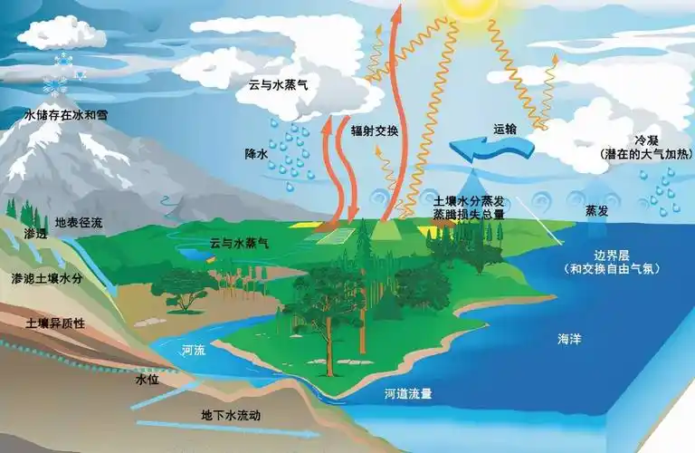 地下水地表水的水资源论证报告书怎么写