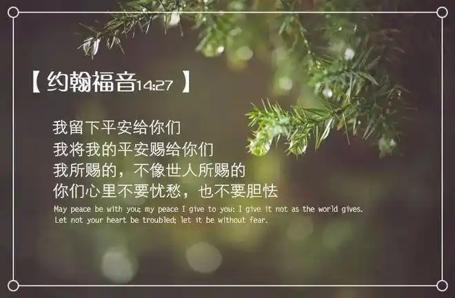 太美了,圣经经文金句图片,快来收藏吧!