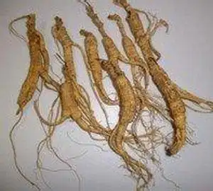 中药名称 黑阳参 相关图片 功效分类  补虚药