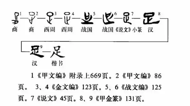 首先还是看看足字字形的演变过程.足是汉语通用规范一级汉字,读作zú.