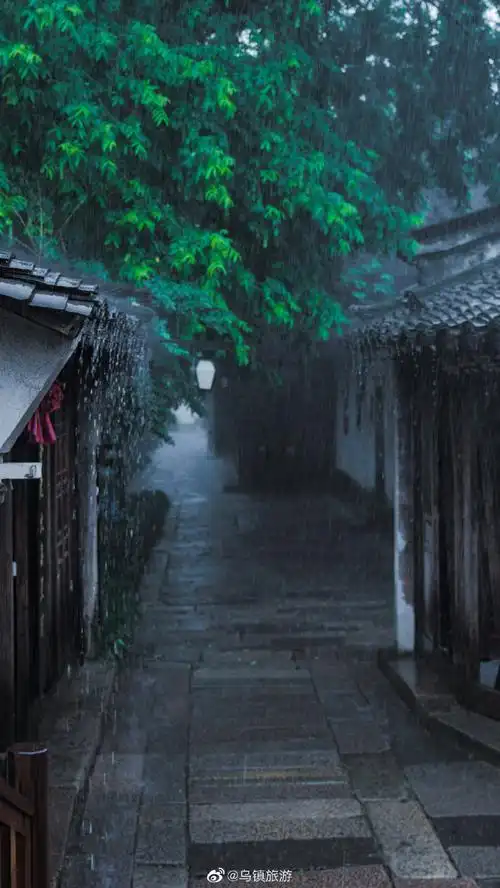 乌镇##雨##浙江明天将迎大范围强降雨