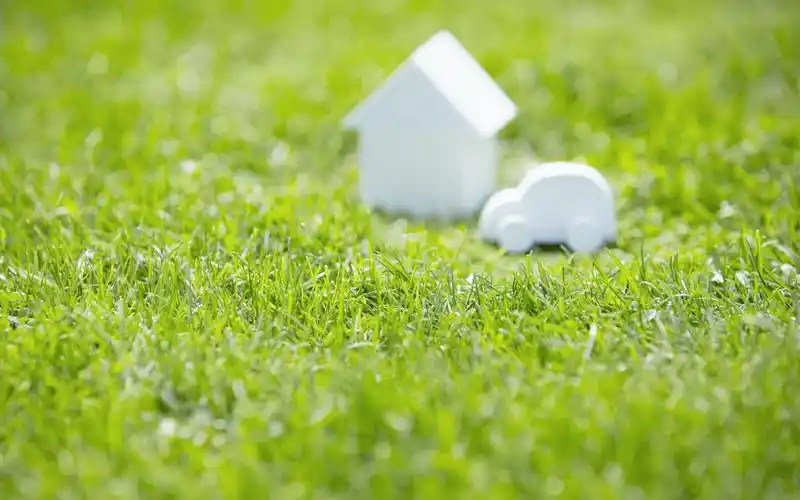 壁纸绿色植物环保