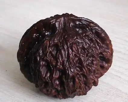 玉化的黑核桃你见过吗这次不是油炸的地闷的