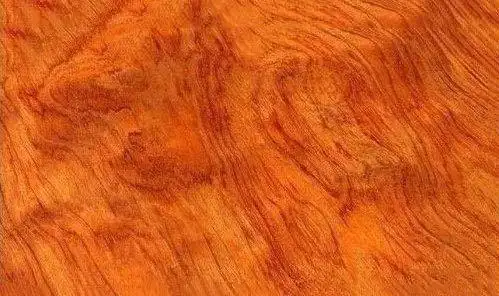 非洲花梨木与非洲黄花梨是同种木材吗