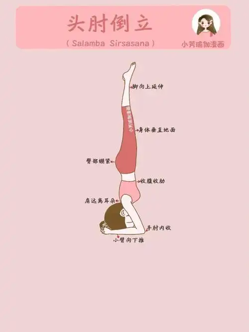 瑜伽61头肘倒立