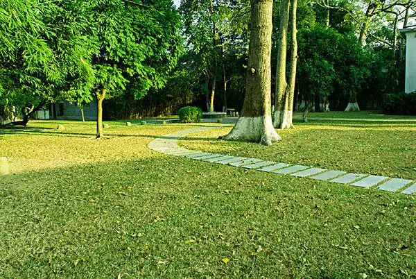 林荫图片_林荫图片大全_全景网