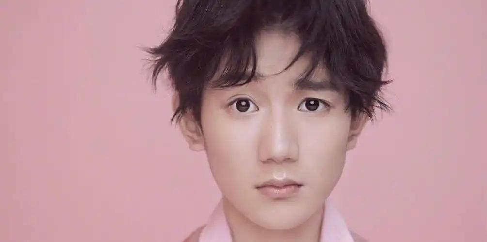 你觉得王源颜值什么水平?_鼻子_眼睛_皮肤