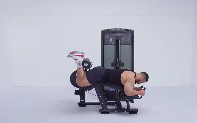 英赛特商用健身器材 re8015俯卧腿弯举训练机