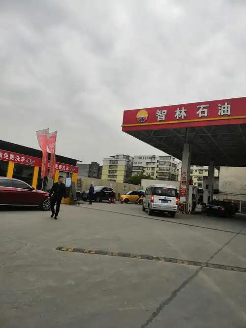 智林加油站隧道式全自动洗车机成功案例