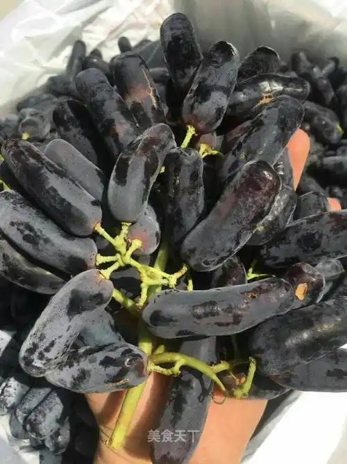 澳洲手指黑提味甜多汁