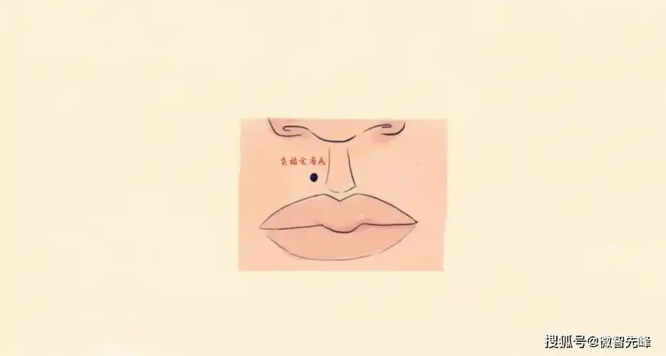 04食禄仓有痣嘴巴为"食禄宫",代表着一个人的进财能力,而嘴巴上方的