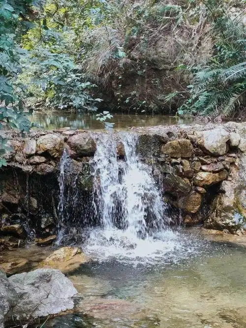 趁着周末,逃离城市,来回南海湾森林生态园一起"森"呼吸