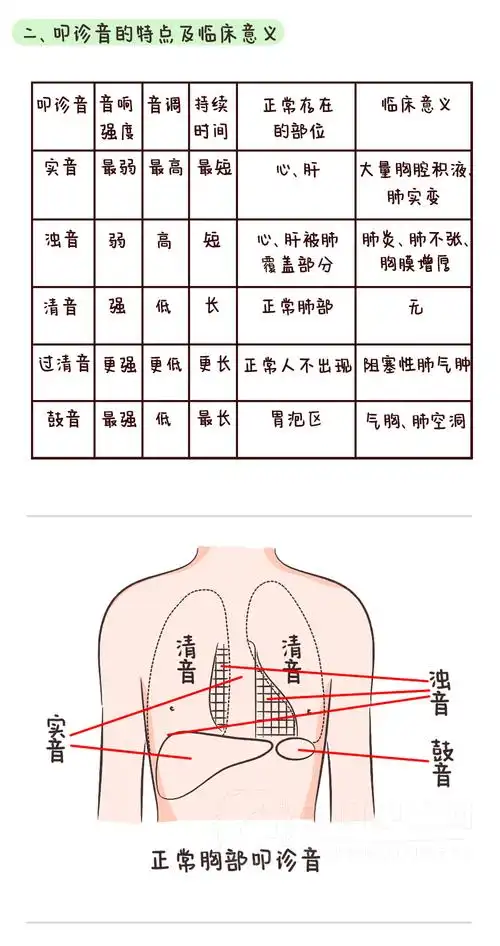 漫画叩诊方法及各种叩诊音的特点及临床意义