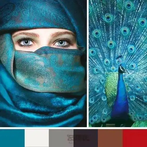 孔雀蓝与白色搭配,干净而安静;结合灰色或黑色,雅致而内敛