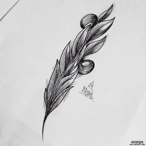 黑灰羽毛纹身手稿图案