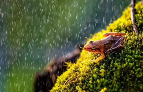 探图一周精选非比寻常的瞬间