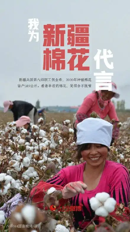 我为新疆棉花代言