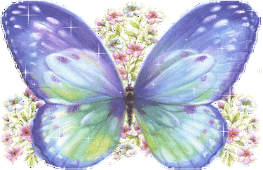 筱雅轩同题*蝴蝶儿